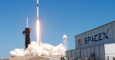 AndrenaM spacex news