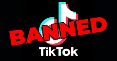 TikTok Banned in USA