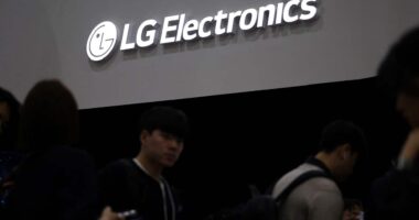 lg electronics india ipo